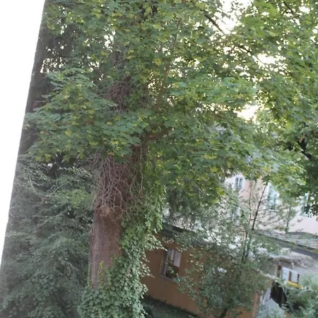 Mozart's Garden فيلة